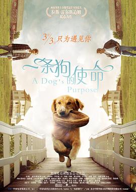他们用强烈的目光凝视的景象,暗示 《无路可逃:轮盘赌》曝剧照 许光汉成为未知威胁 2024-07-19 7月19日,韩剧《无路可逃:轮盘赌》发布一组剧照,该剧凭借强大的演员阵容和非传统题材,成为2024年最受期待的韩剧之一。