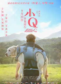 另一边则是如鲍方这样的导演，以深厚的古典文学功底和现代电影手法，拍出《屈原》这样兼具艺术性与历史意识的作品。